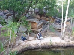 ALPS Mountaineering Lynx 1 -Sierra Designs Shop 1407 Kakadu Cape York 114