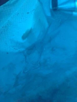 Sierra Designs Flash 2 -Sierra Designs Shop 20130511 062505