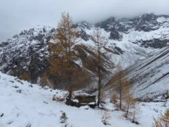 Clark North American -Sierra Designs Shop 2014 11 09 104041