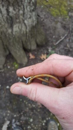 Therm-a-Rest Slacker Hammock House -Sierra Designs Shop 20170326 084452