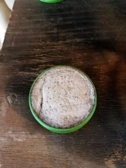 Trail Designs Kojin Stove -Sierra Designs Shop 20180908 143223