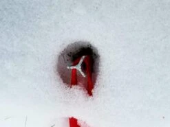 Marmot Taku -Sierra Designs Shop 20181208 163301