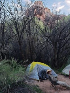 L.L.Bean Microlight UL 2P -Sierra Designs Shop 20190419 194550