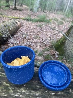 Silipint Lidded Bowl Set -Sierra Designs Shop 4504110E FEB8 4FF8 9E65 738AE3A24645