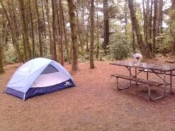 REI Camp Dome 2 -Sierra Designs Shop CampDomeTableFlowers