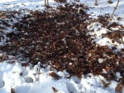 Rab Neutrino Endurance 600 -Sierra Designs Shop Cleared spot