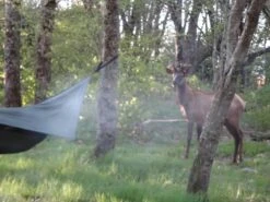 Hennessy Hammock Ultralight Backpacker Asym -Sierra Designs Shop DSC03331