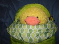 NEMO Punk 20 -Sierra Designs Shop DSC04125a