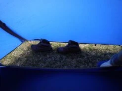 Sierra Designs Night Watch CD -Sierra Designs Shop DSCN1909