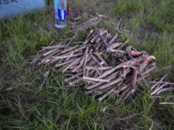 BioLite CookStove -Sierra Designs Shop DSCN9424