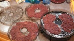 Eastman Outdoors Food Dehydrator 4 Tray -Sierra Designs Shop Dehydrator 2