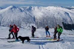 Wacaco Nanopresso -Sierra Designs Shop GRS05729