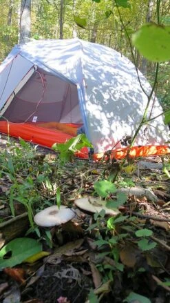 SlingFin CrossBow 2 Mesh -Sierra Designs Shop IMG 5010