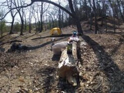 The North Face Tadpole 2 -Sierra Designs Shop Nordhouse 3 1 15 002