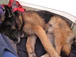 Big Agnes Copper Hotel HV UL2 -Sierra Designs Shop Ralph rests