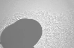 Soto WindMaster -Sierra Designs Shop SotoSch08