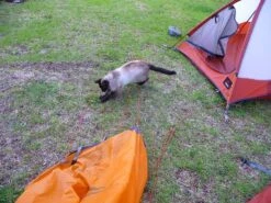 MSR Fury -Sierra Designs Shop msrfury4