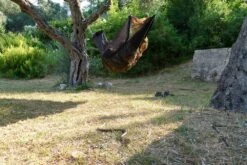 Clark North American -Sierra Designs Shop picture 46