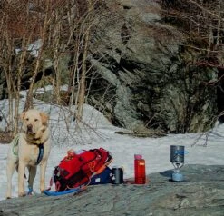 MSR PocketRocket -Sierra Designs Shop pocket rocket