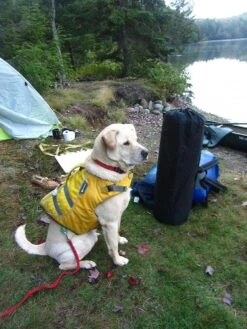 ALPS Mountaineering Lightweight Series Self Inflating Air Pads -Sierra Designs Shop site 4 mat 1