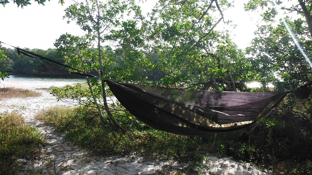 Warbonnet Original Blackbird 6 Warbonnet Original Blackbird - Image 4