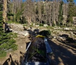 L.L.Bean Microlight UL 2P -Sierra Designs Shop tent and goats